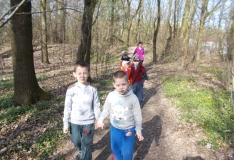 DSCN3379