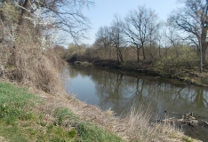 DSCN3394