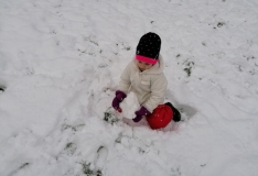 IMG_20210114_105207