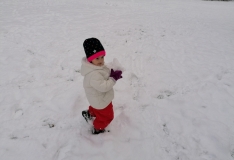 IMG_20210114_105228