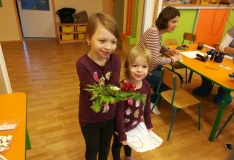 IMG_20171207_153616