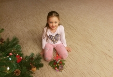 IMG_20181203_155531