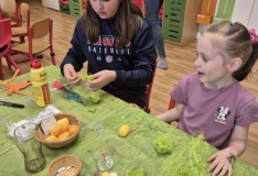 scaled-1000008285_327.1744732558-1000x0_w_1