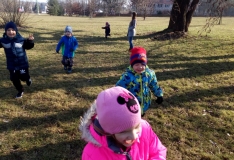 IMG_20190218_103709