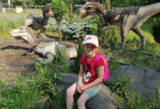 IMG_20210608_091737_1