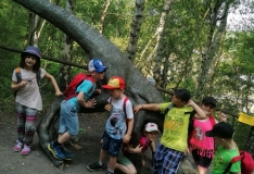 IMG_20210608_092426_1