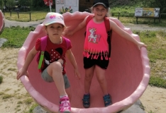 IMG_20210608_092935_1