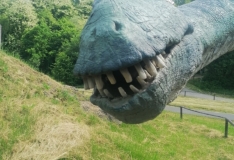 IMG_20210608_103709_1