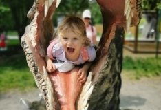 IMG_20210608_104947_1