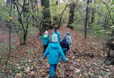 IMG_20201105_101616