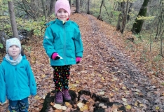 IMG_20201105_102334