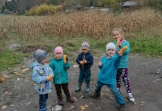 IMG_20201105_105408