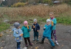 IMG_20201105_105410