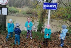 IMG_20201105_105822