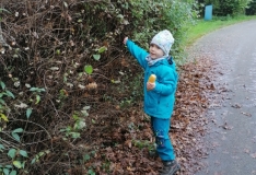 IMG_20201105_105938_1