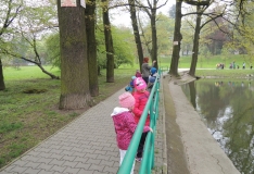 DSCN6369