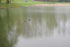 DSCN6377