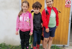 IMG_20210625_105119_1