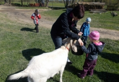 DSCN3471