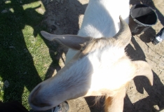 DSCN3477