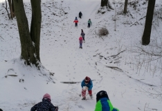 IMG_20210113_105051