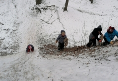 IMG_20210115_104022